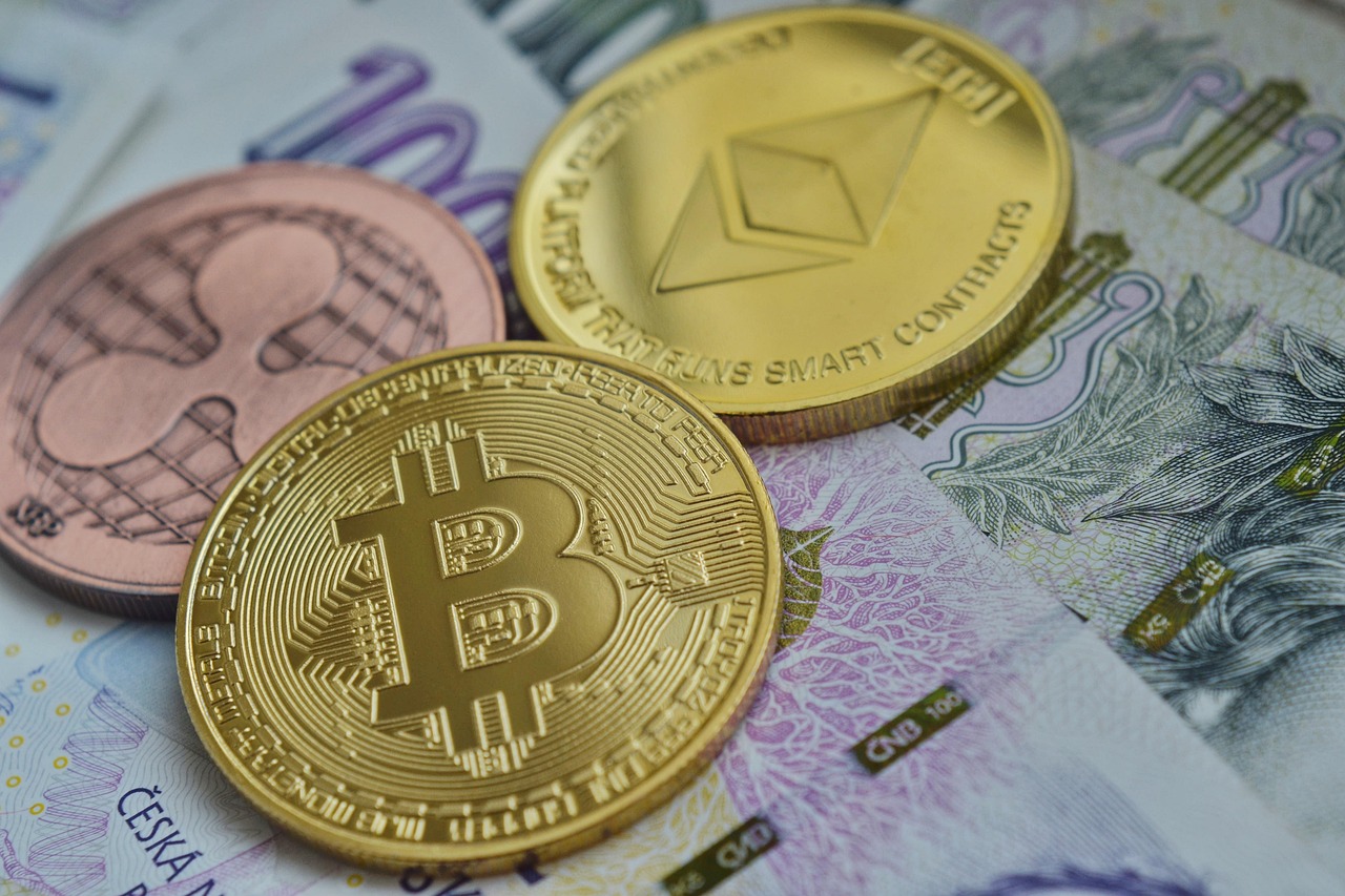 Meanwhile比特币寿险获4000万美元融资！Framework Ventures与Fulgur Ventures共同领投